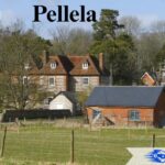 Pellela