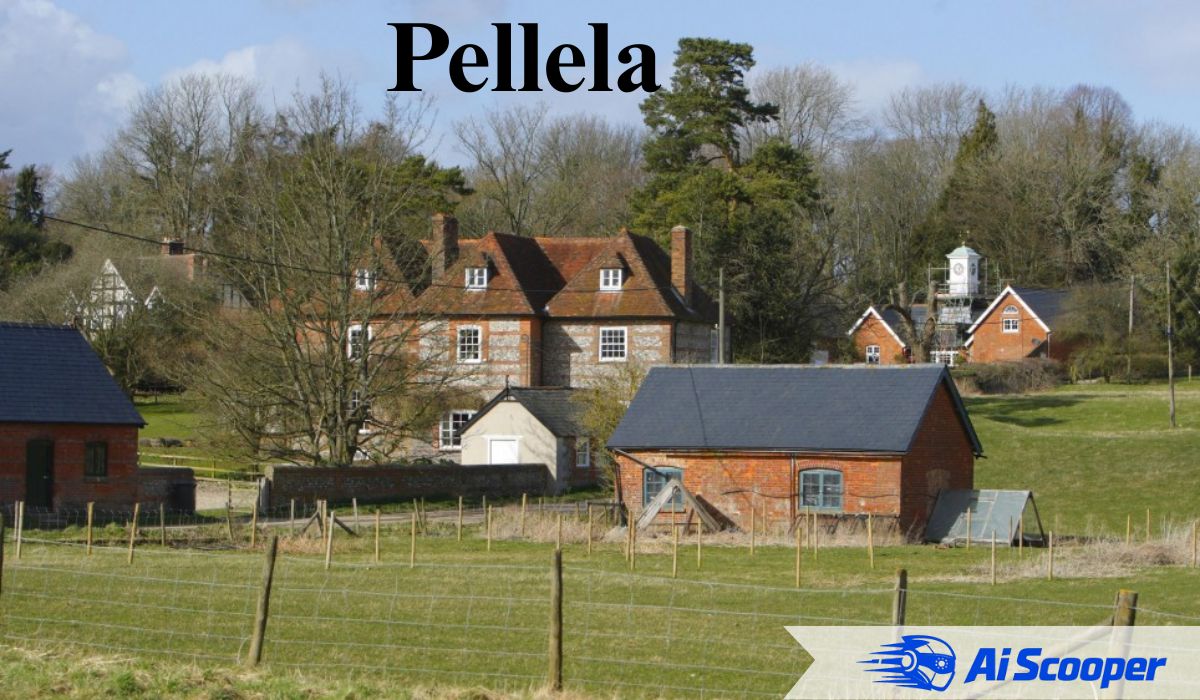 Pellela