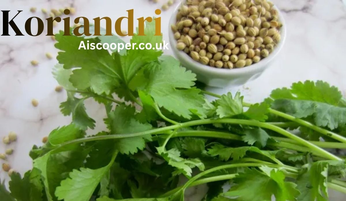 Koriandri